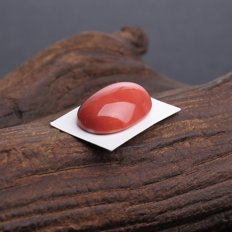 台湾天然momo珊瑚戒面 - 红掌柜