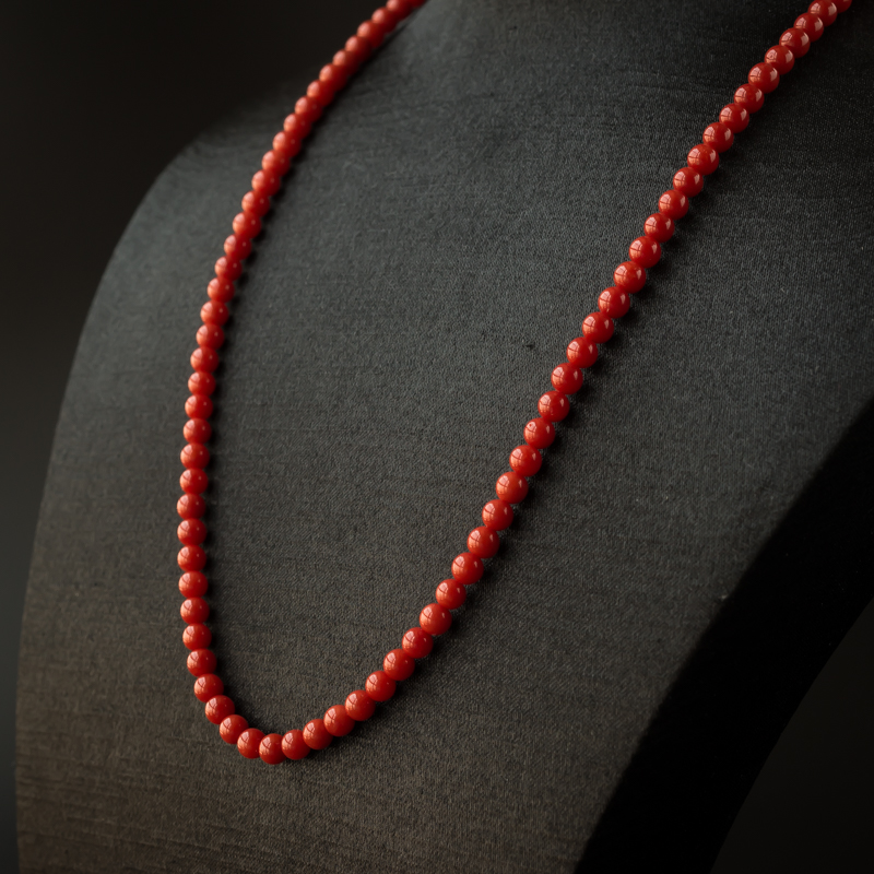 沙丁红珊瑚-红掌柜