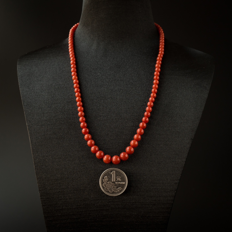 意大利沙丁红珊瑚-红掌柜