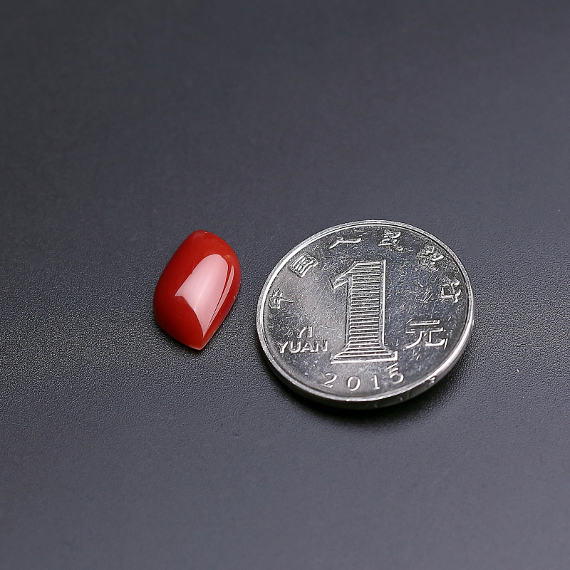 阿卡红珊瑚- 红掌柜