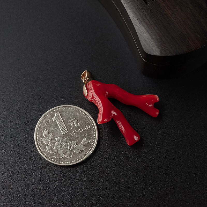 日本珊瑚-红掌柜