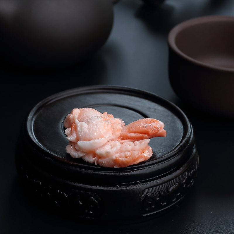 珊瑚鸳鸯-红掌柜