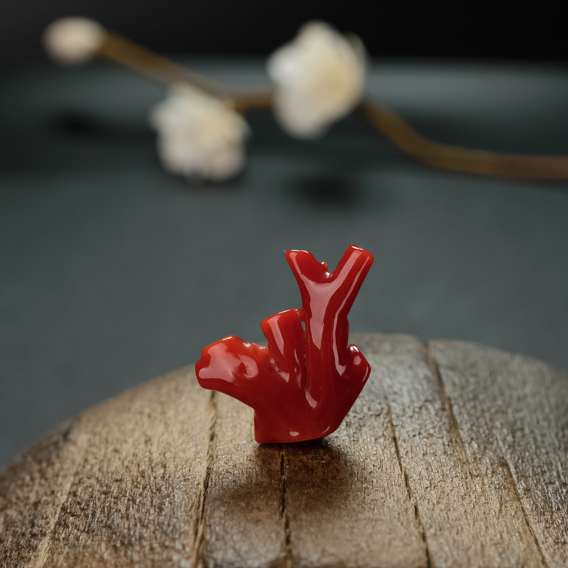 日本天然阿卡红珊瑚树枝 - 红掌柜