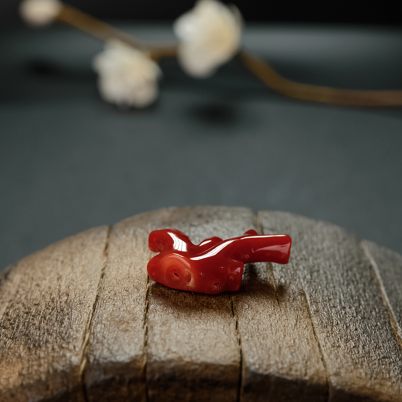 日本阿卡红珊瑚树枝 - 红掌柜