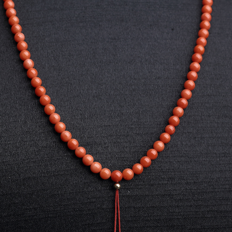 沙丁红珊瑚-红掌柜