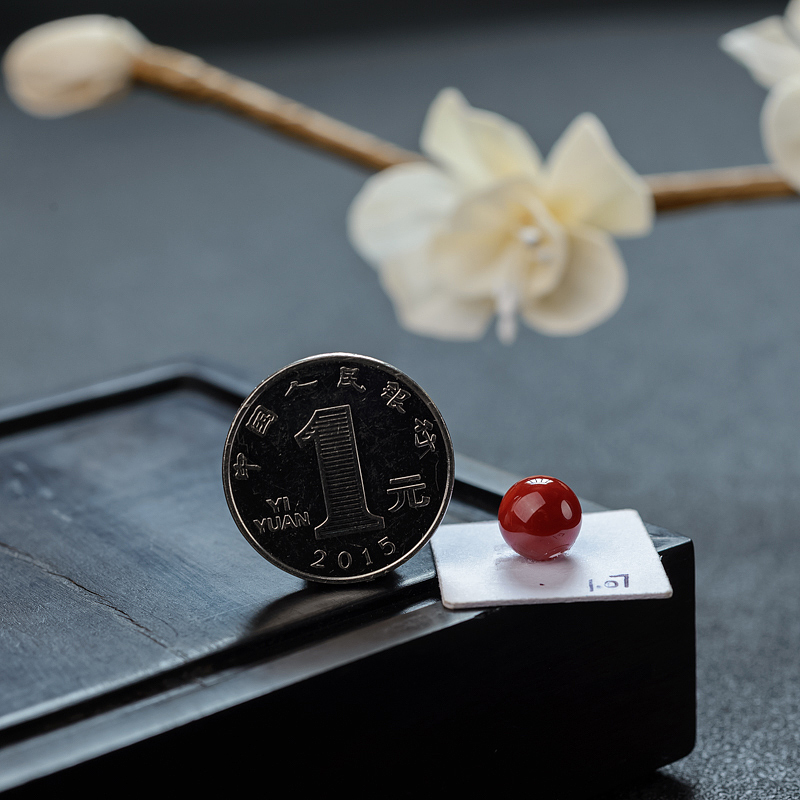 天然阿卡珊瑚 - 红掌柜