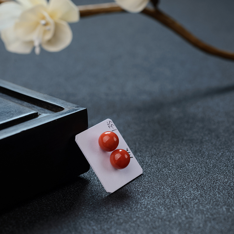 意大利沙丁珊瑚 - 红掌柜