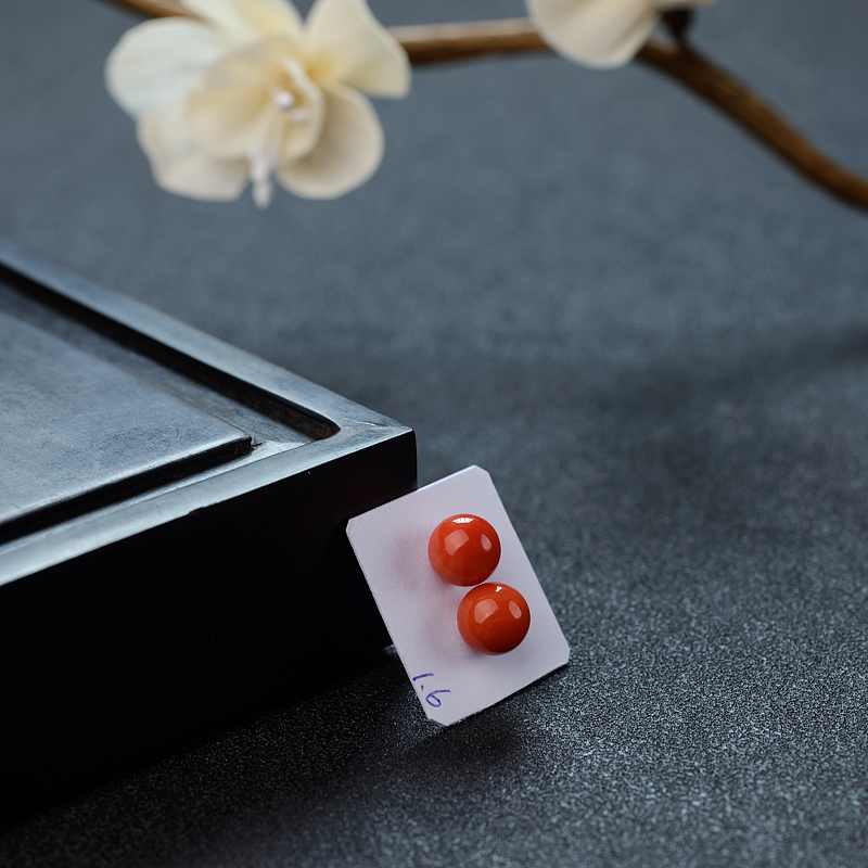 意大利沙丁珊瑚 - 红掌柜