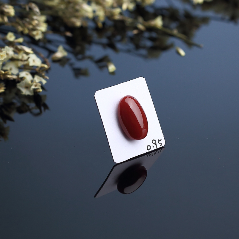 天然阿卡珊瑚戒面 - 红掌柜