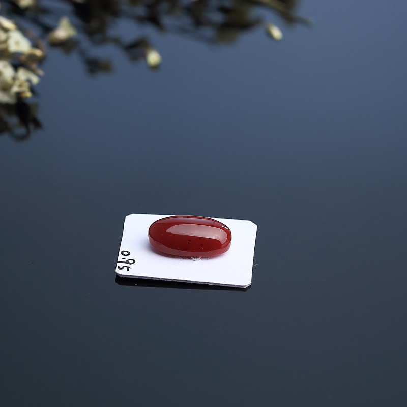 珊瑚戒面 - 红掌柜