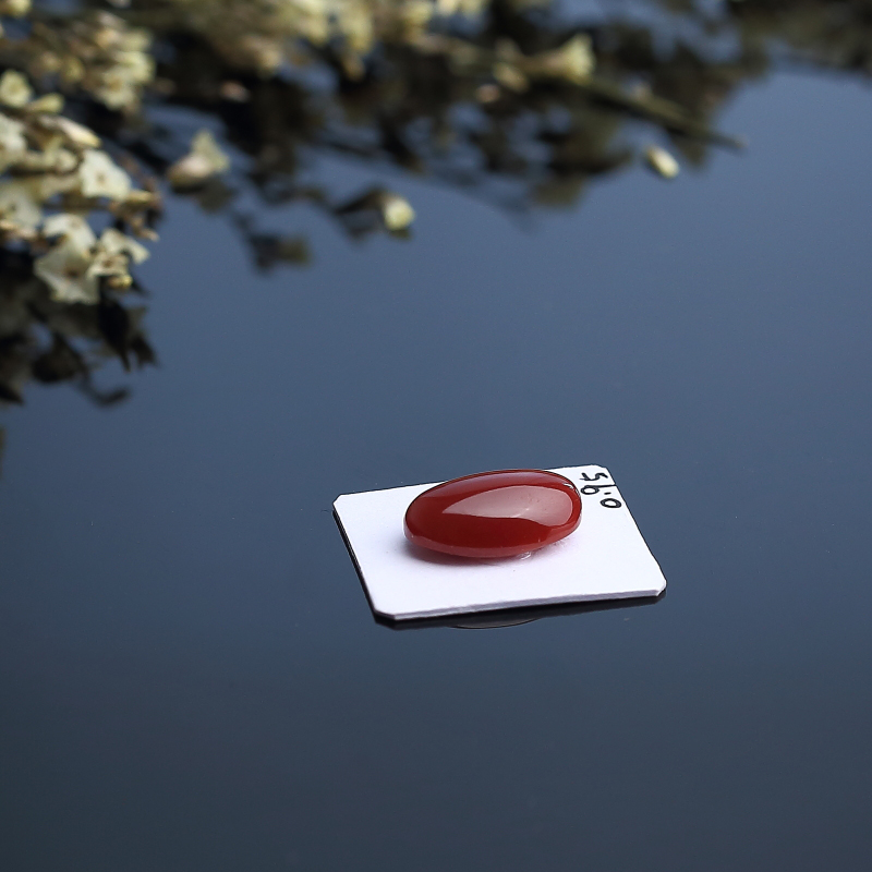 珊瑚戒面-红掌柜