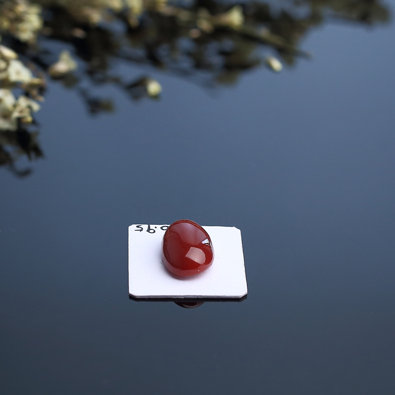 日本天然阿卡珊瑚戒面 - 红掌柜