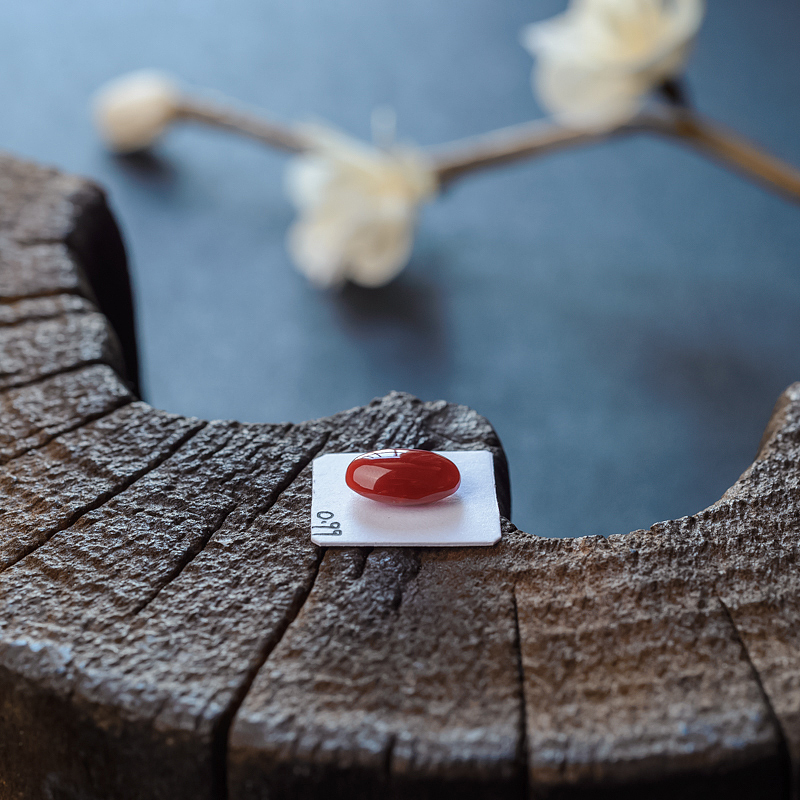 日本阿卡红珊瑚戒面-红掌柜