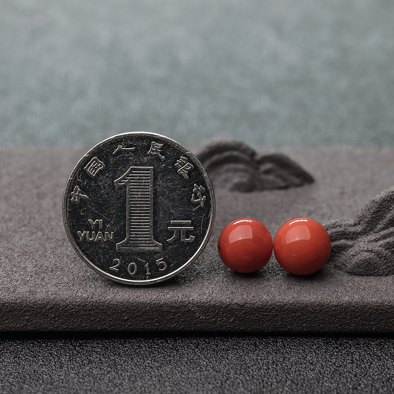 天然沙丁橘红珊瑚-红掌柜