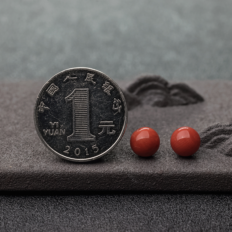 沙丁橘红珊瑚-红掌柜