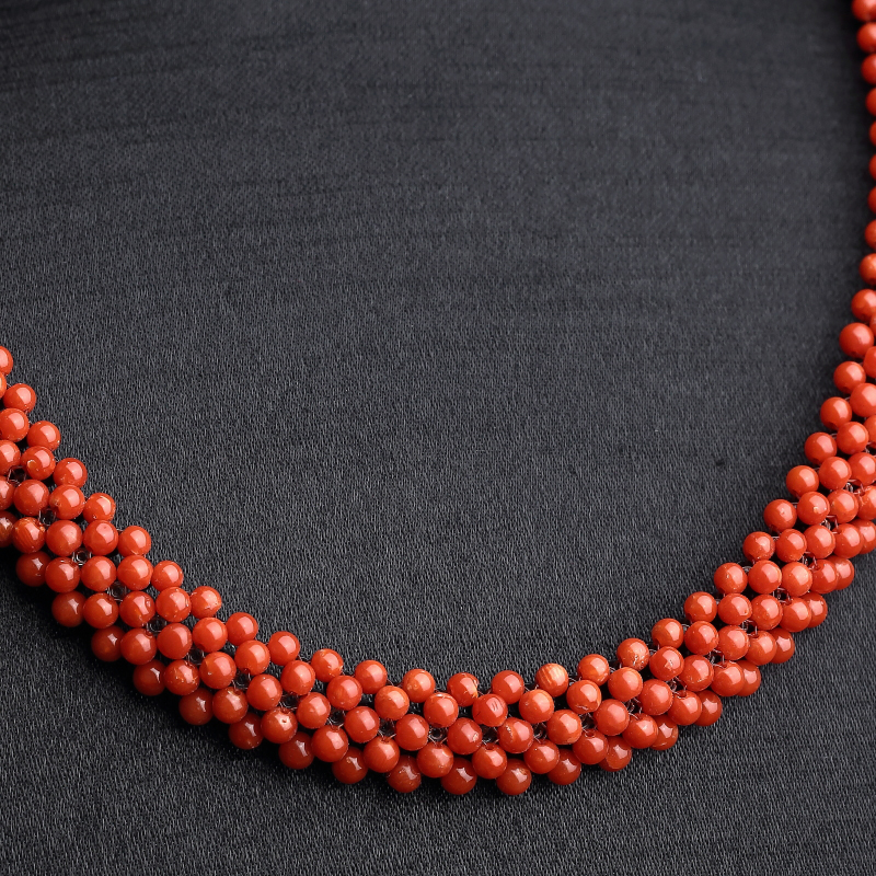 沙丁红珊瑚-红掌柜