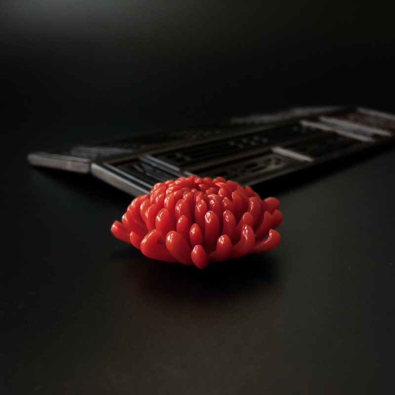 沙丁红珊瑚戒面-红掌柜