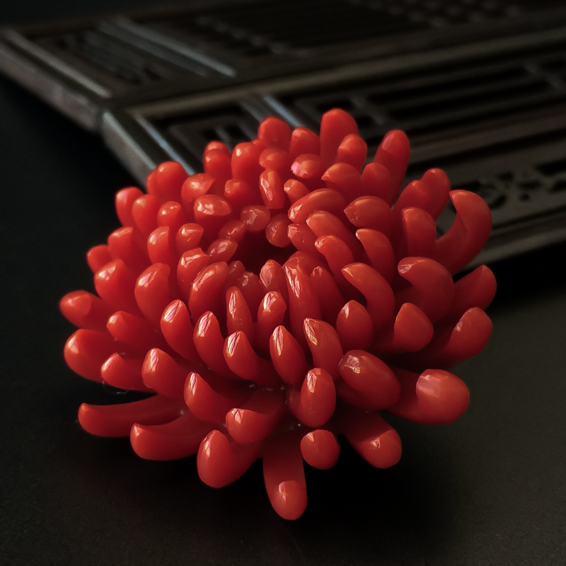 红珊瑚戒面-红掌柜