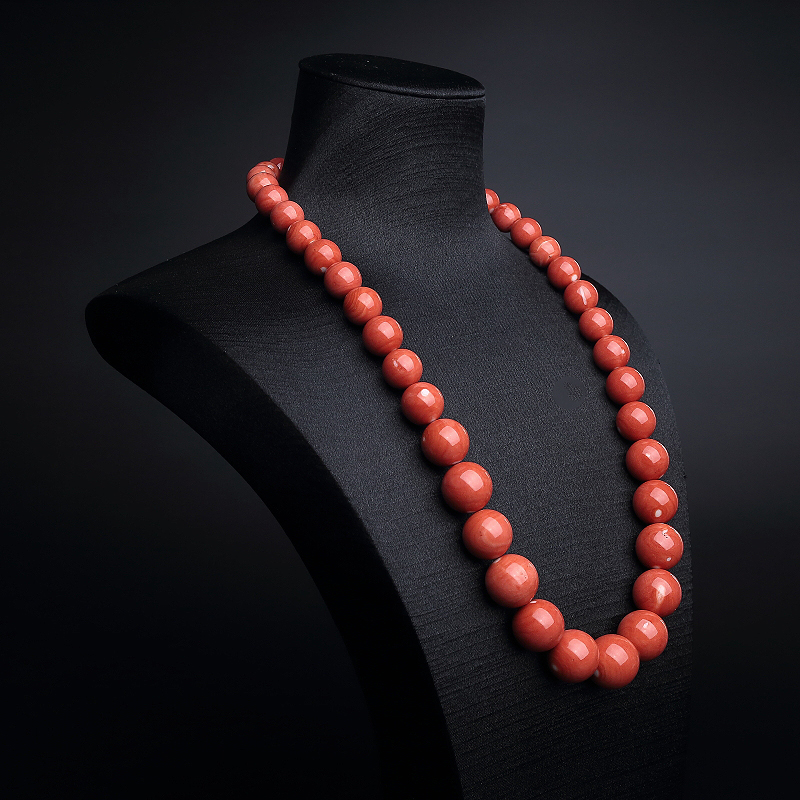 momo珊瑚-红掌柜