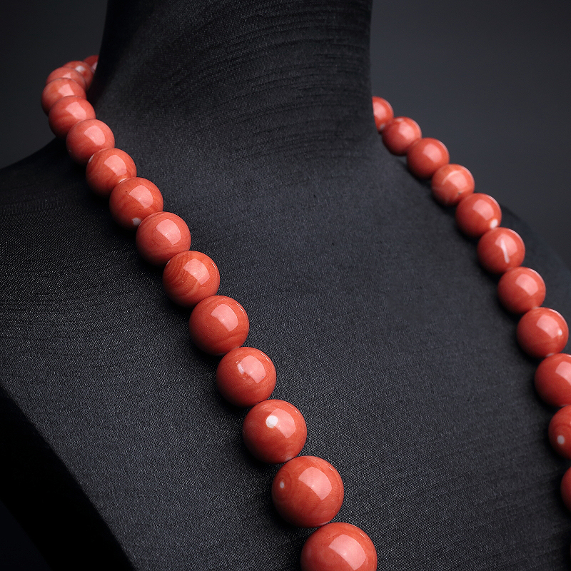 天然momo珊瑚-红掌柜