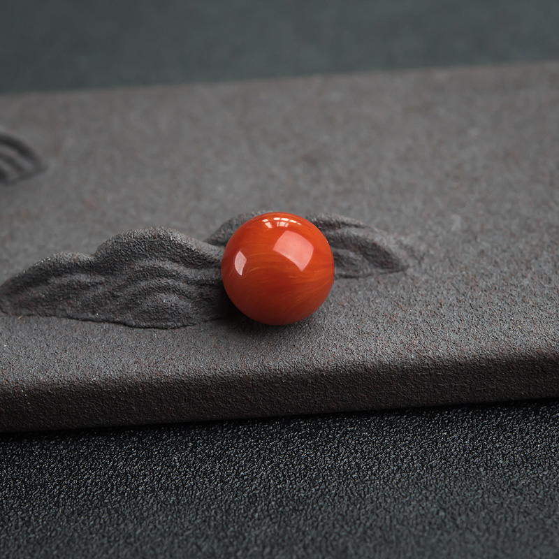 沙丁红珊瑚-红掌柜