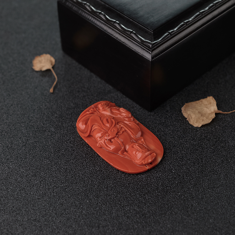 MOMO橘红珊瑚观音-红掌柜