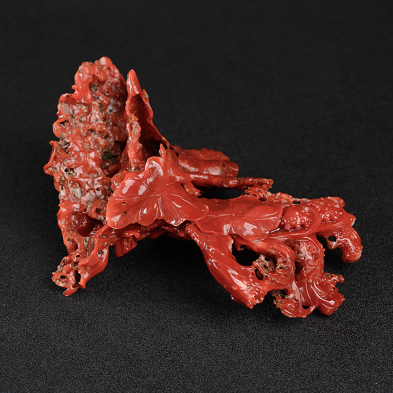 日本天然阿卡正红珊瑚摆件-红掌柜