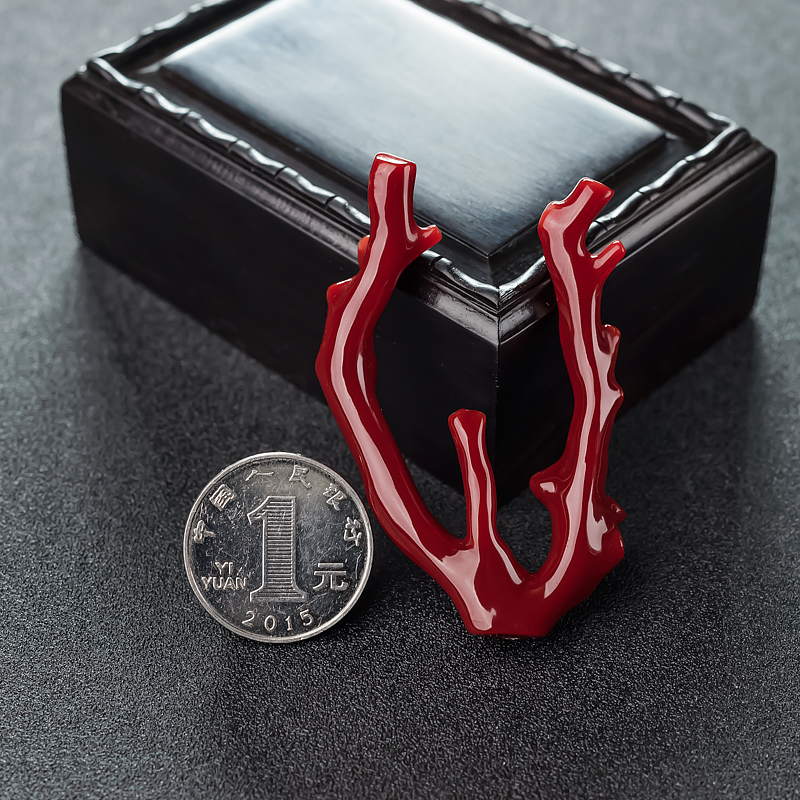 日本阿卡珊瑚原枝-红掌柜