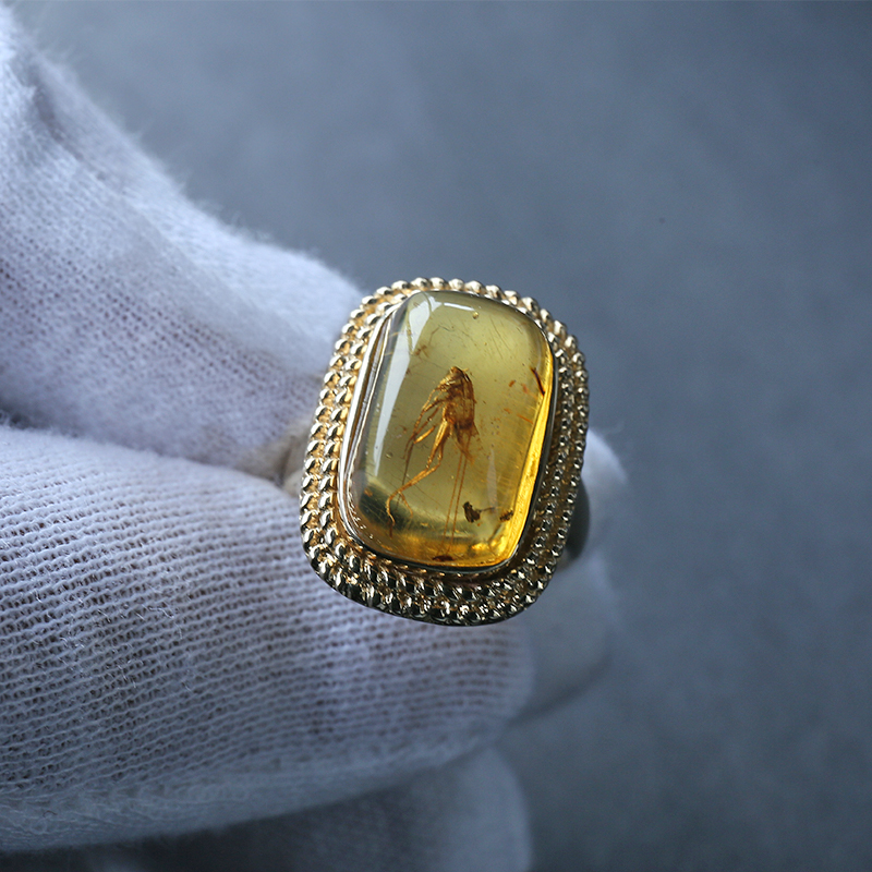 缅甸蟋蟀珀镶金戒指-红掌柜