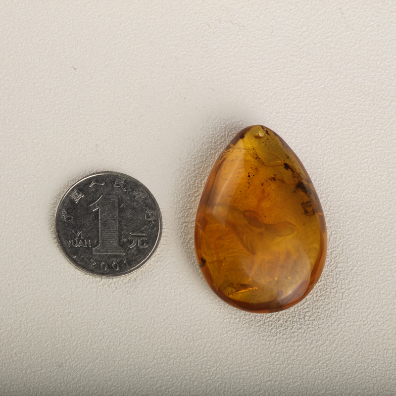 天然缅甸金棕珀-红掌柜