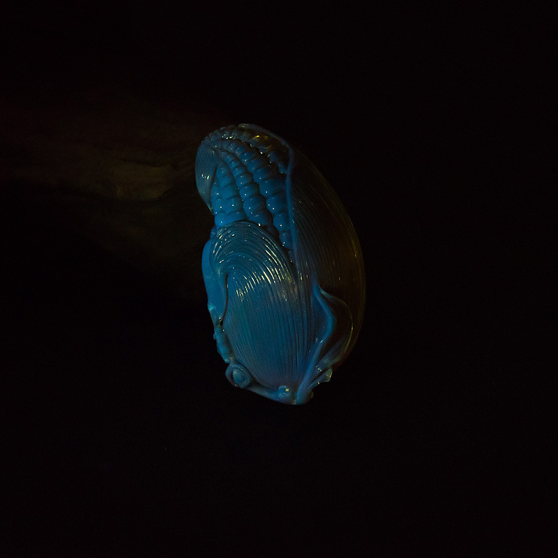 天然墨西哥蓝珀吊坠-红掌柜