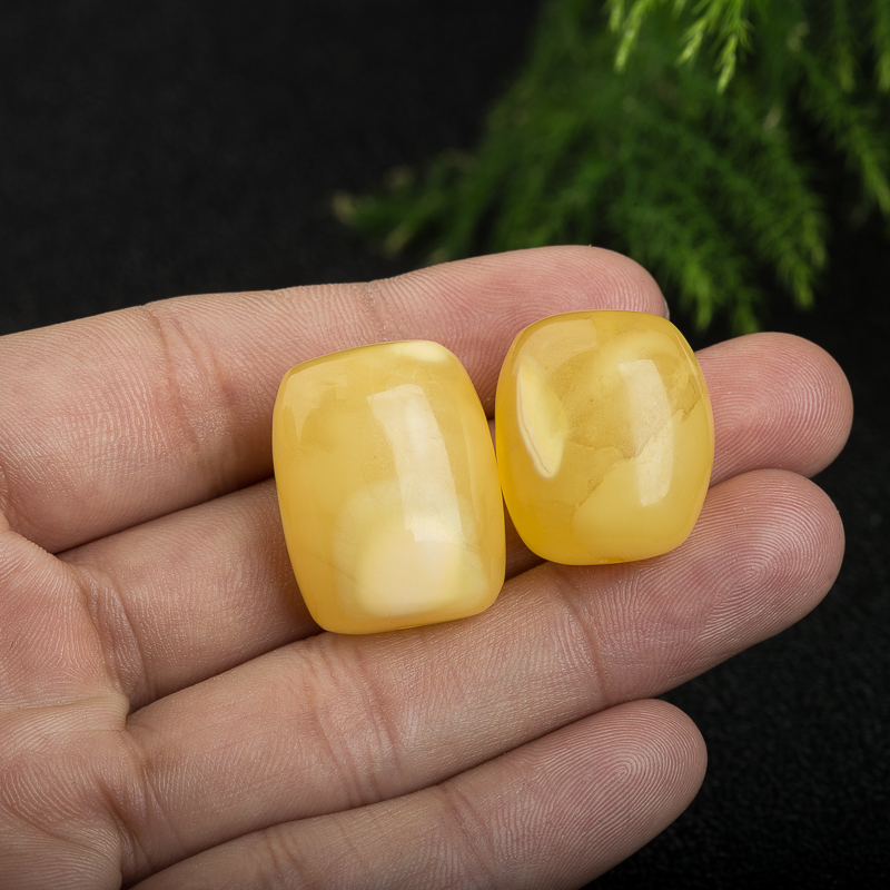 波罗的海鸡油黄蜜蜡套装-红掌柜