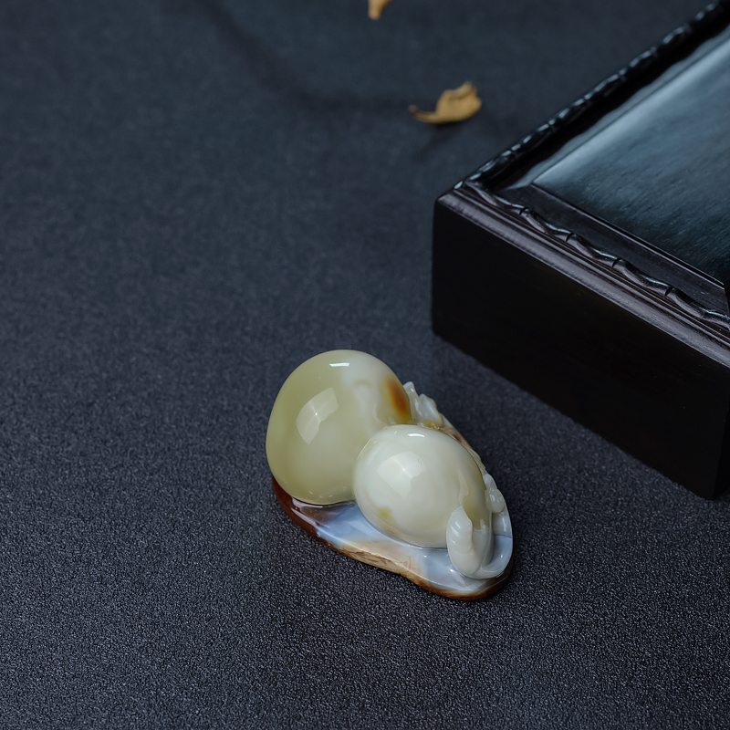 白蜜葫芦-红掌柜