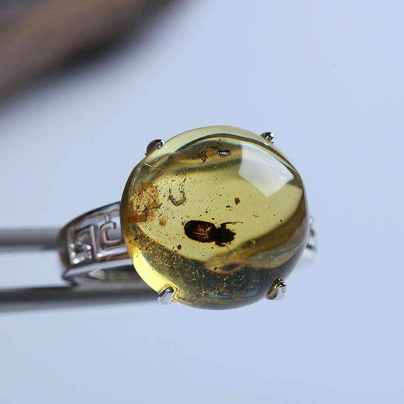 虫珀戒指-红掌柜