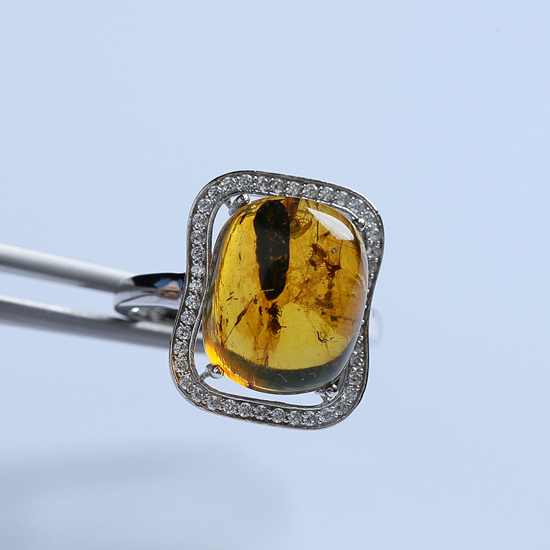 精品甲虫珀-红掌柜