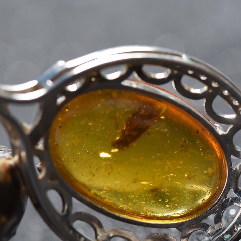 天然琥珀-红掌柜