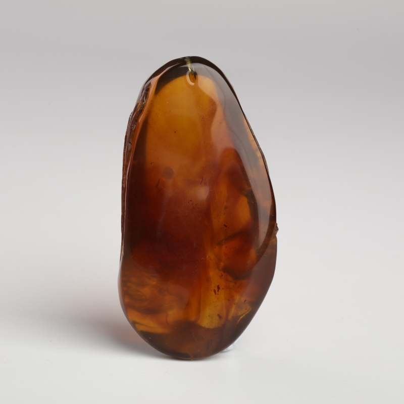 天然棕珀金玉满堂吊坠-红掌柜