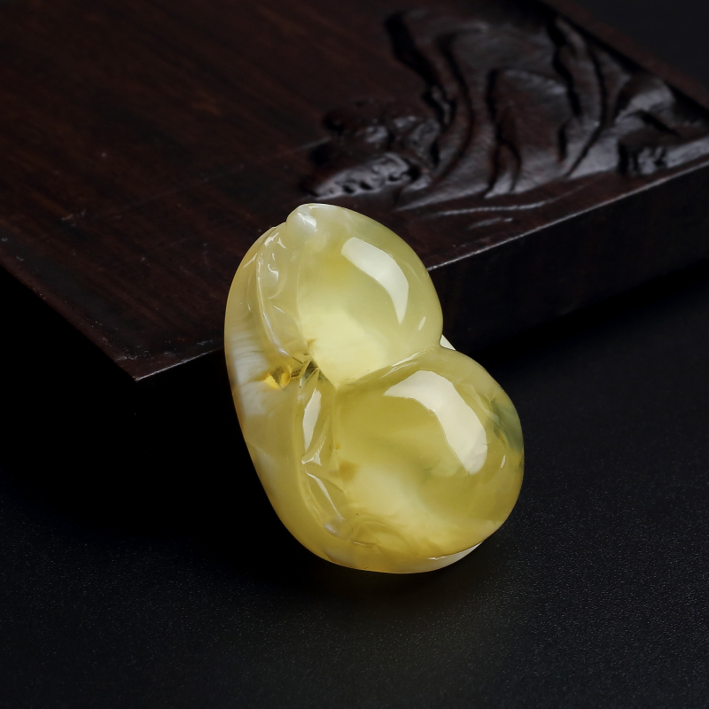 白花蜜蜜蜡葫芦-红掌柜