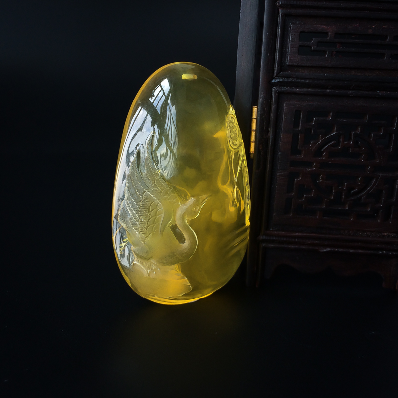 金珀荷塘夜色-红掌柜