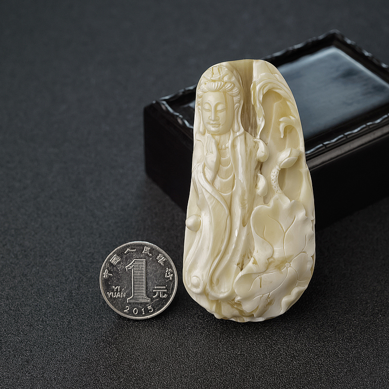 象牙白白蜜观音-红掌柜