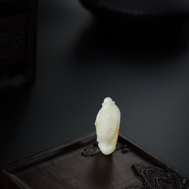 白蜜蜜蜡鱼-红掌柜