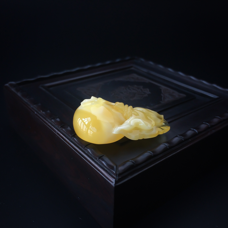 波罗的海黄白蜜钱袋 - 红掌柜