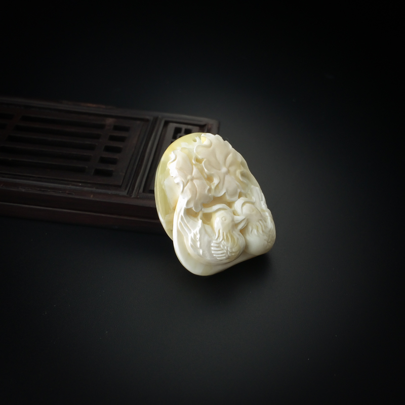 白花蜜鸳鸯-红掌柜