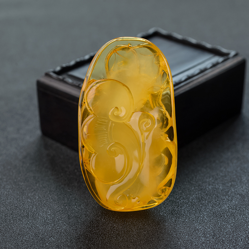 褐黄金绞蜜蛟龙-红掌柜