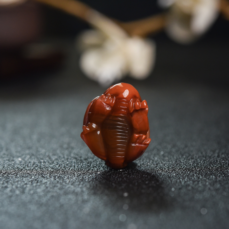 柿子红天然南红龙龟吊坠-红掌柜