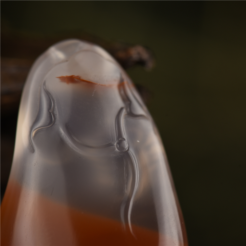 柿子红南红观音-红掌柜