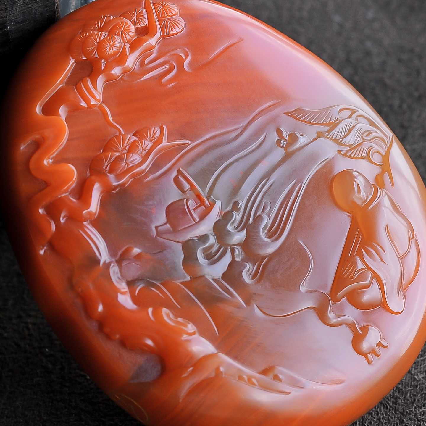 云水禅心知音-红掌柜