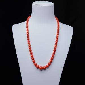 沙丁正红珊瑚塔链
