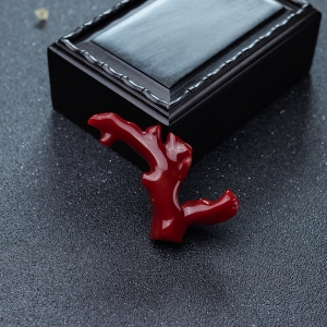 阿卡牛血红珊瑚原枝