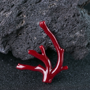 阿卡牛血红珊瑚原枝